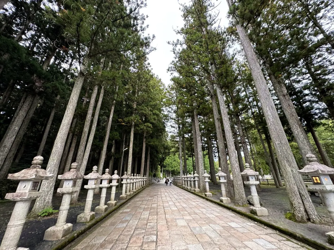奥之院参道の杉並木と石灯籠