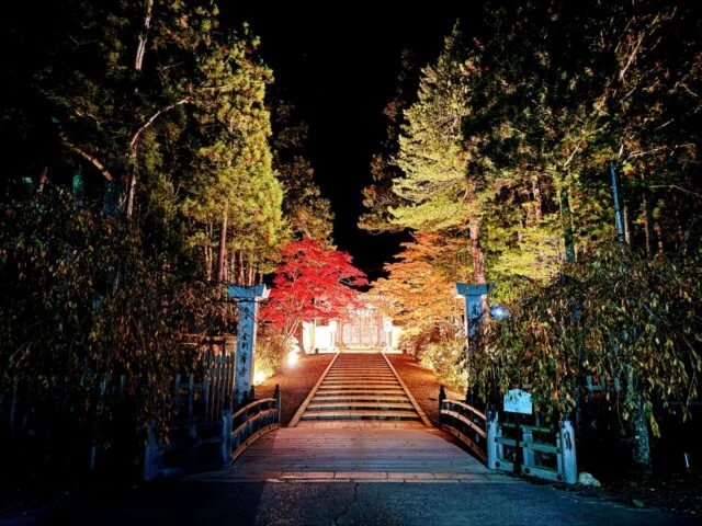 夜に照らされた赤い橋と参道