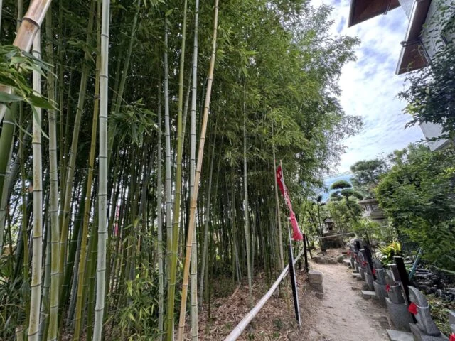 竹林沿いに続く門戸厄神東光寺の参道