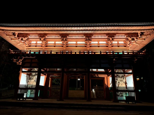 夜に照らされた壇上伽藍の中門