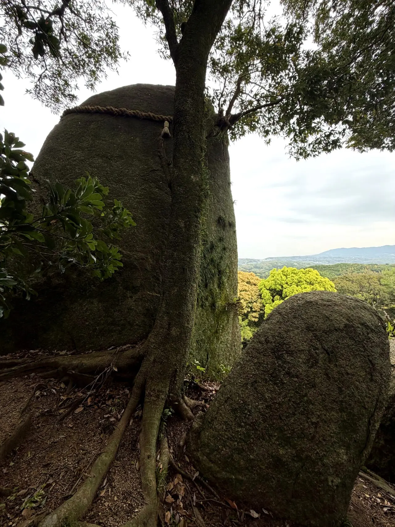岩上神社 淡路島の神籬岩巨石