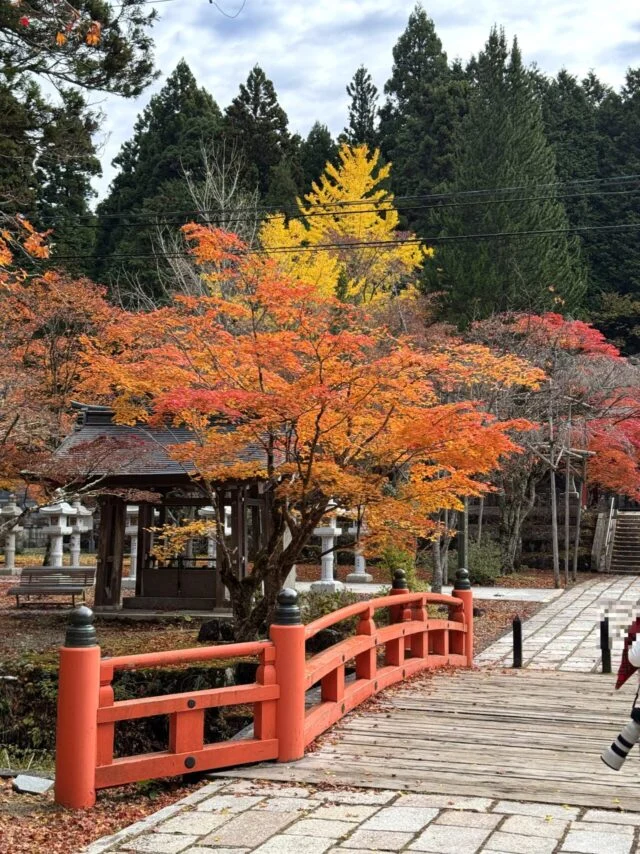 赤い橋と紅葉が重なる秋の高野山