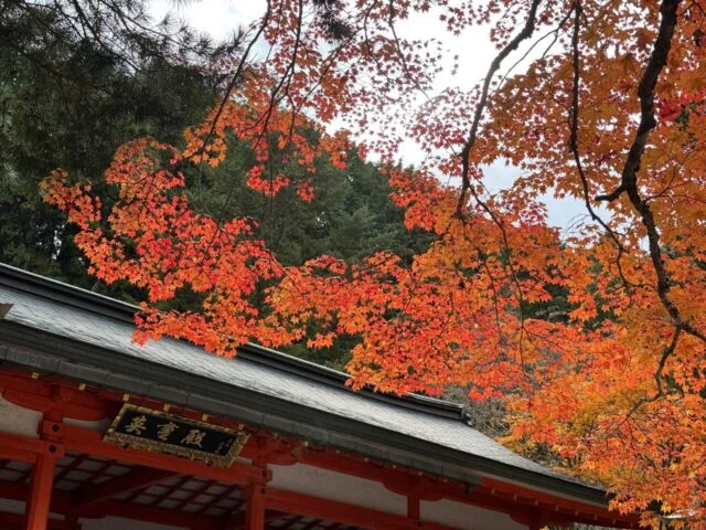 屋根越しに見える高野山の紅葉