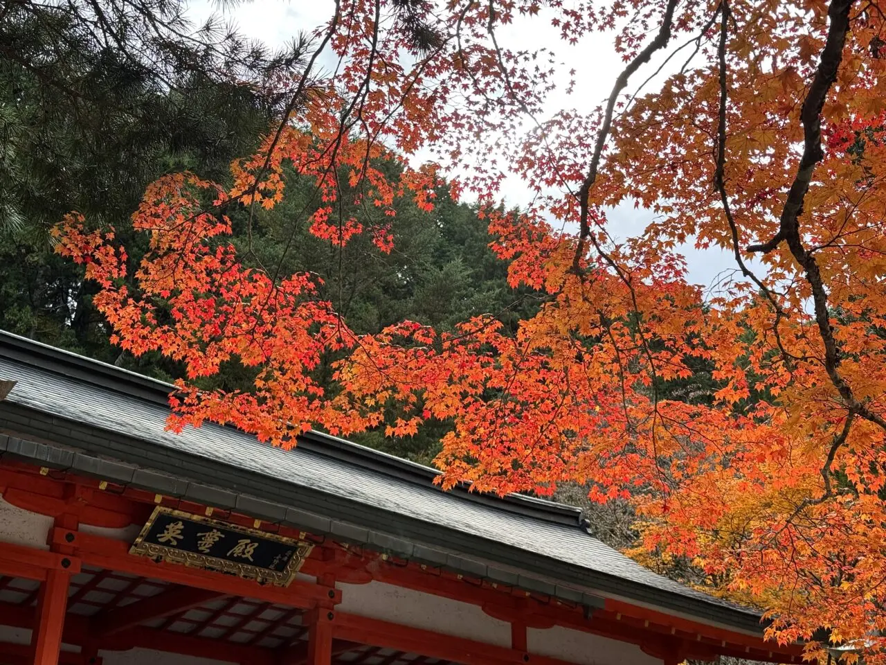 屋根越しに見える高野山の紅葉