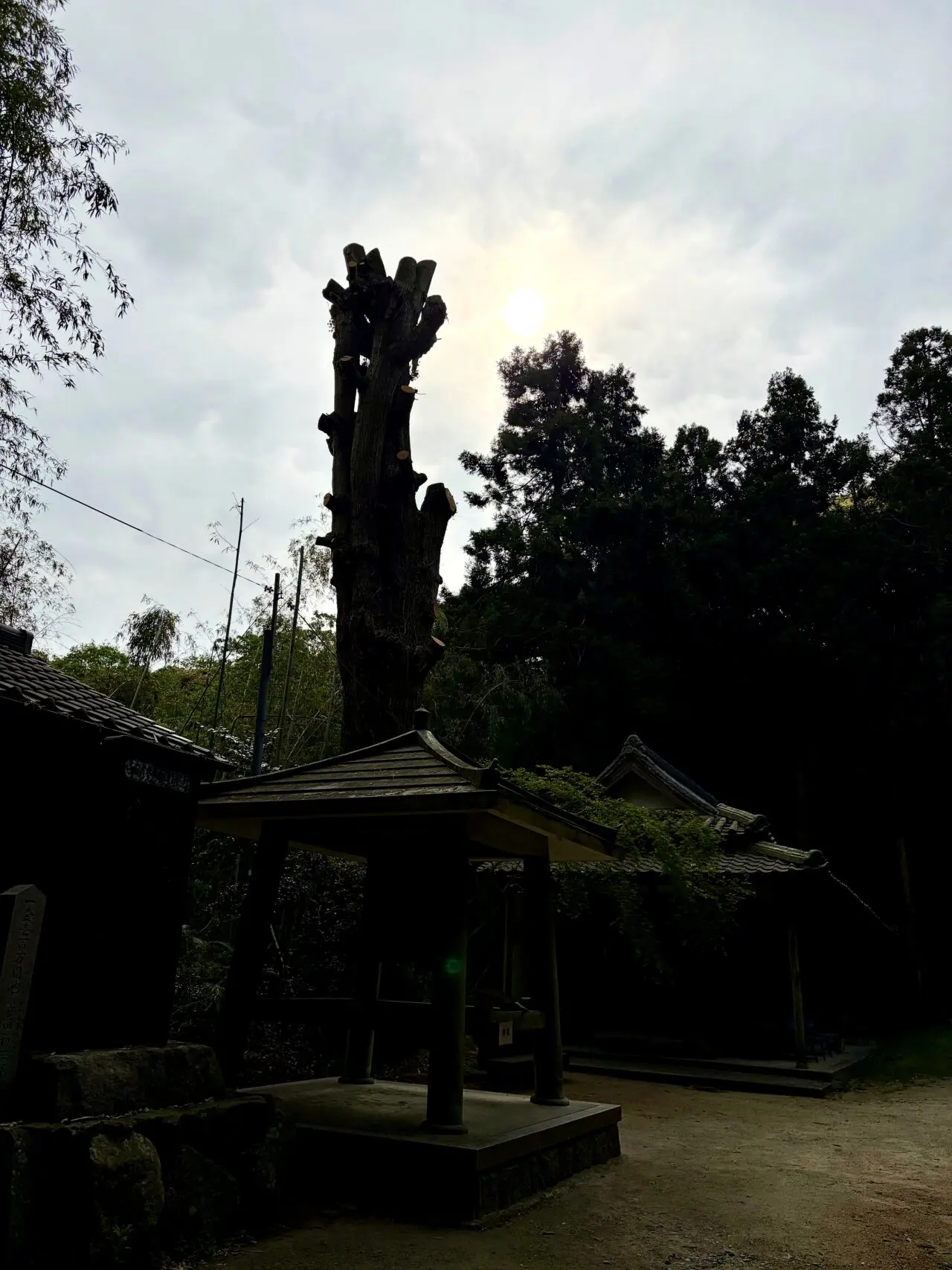 岩上神社 淡路島の境内枯木神木