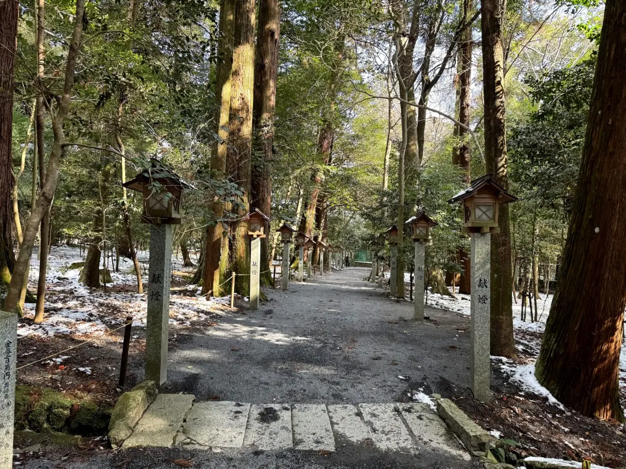 椿大神社の杉木立に囲まれた参道