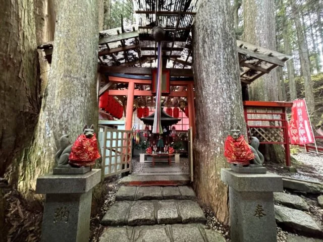 清高稲荷社の御神木と社殿