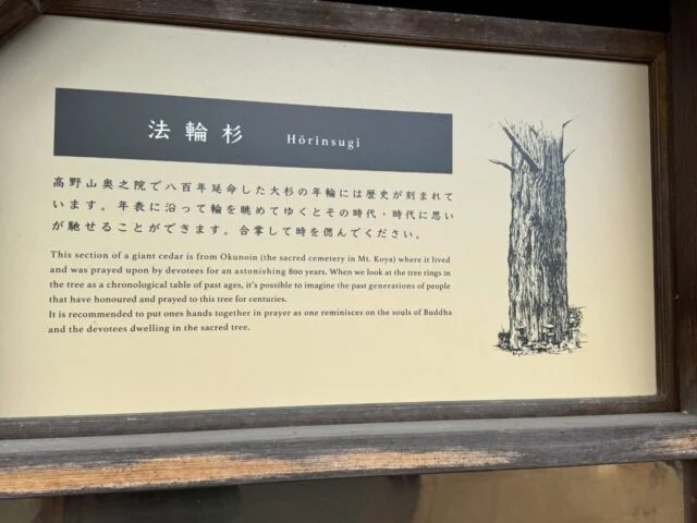 法輪杉の説明板