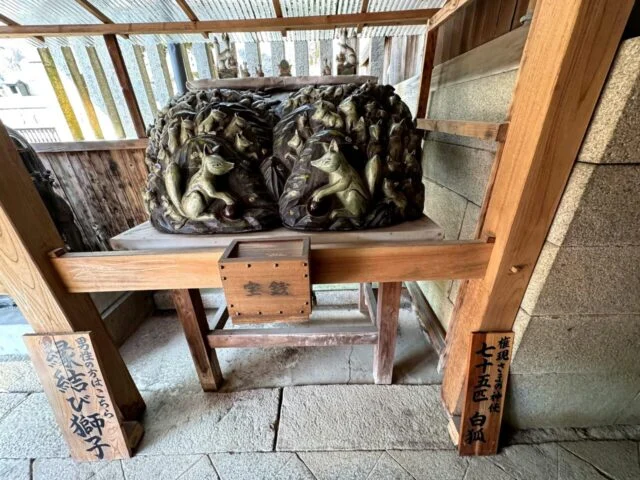 由加神社本宮で見た並ぶ狛犬像