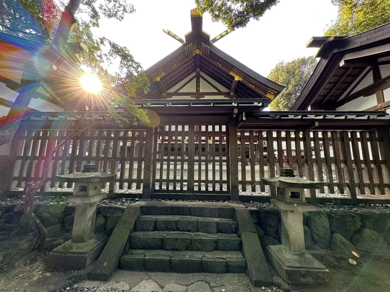 猿田彦神社境内の社殿と木漏れ日