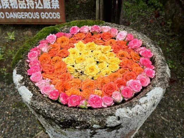 丹生都比売神社のその他3