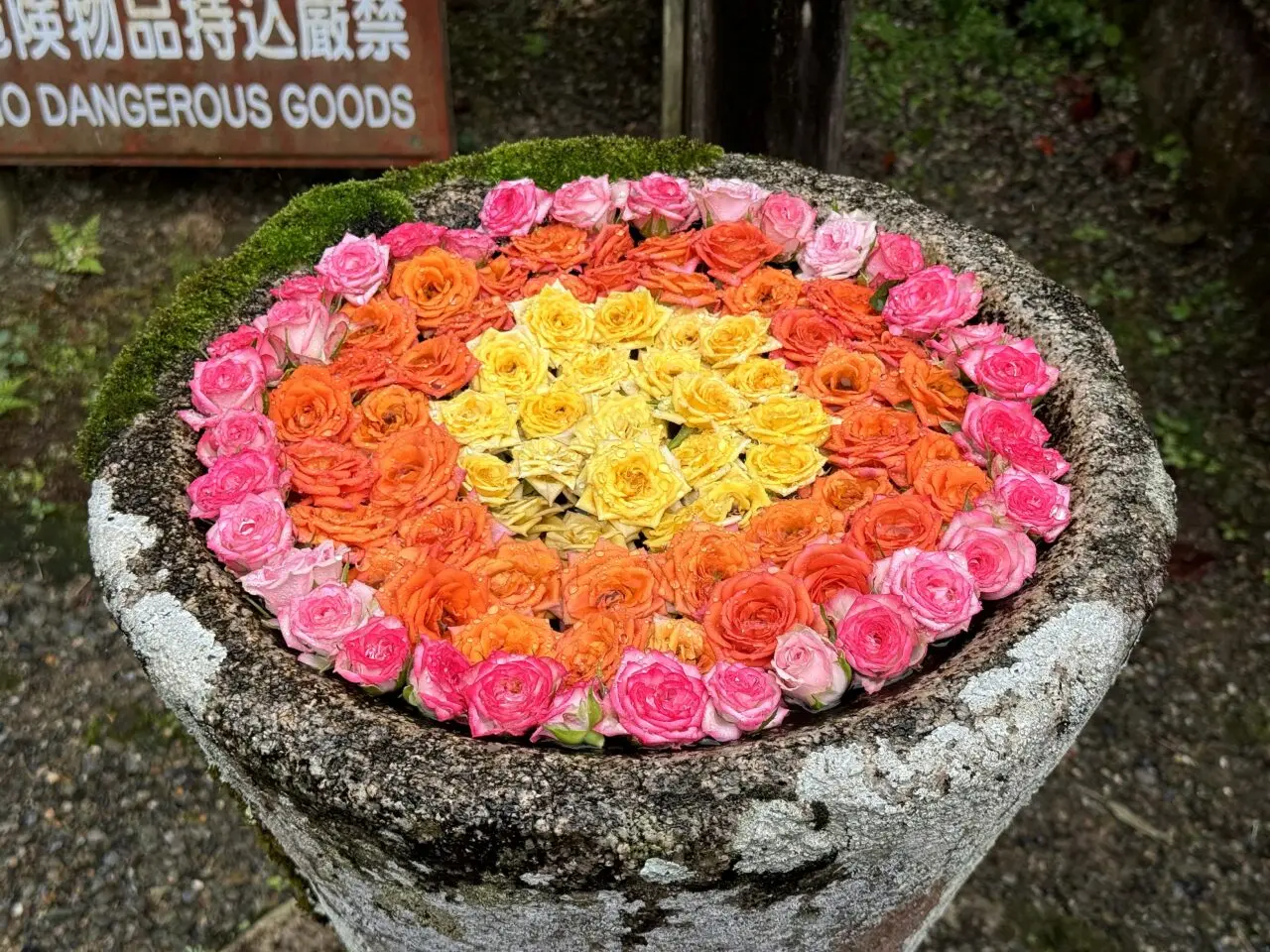 丹生都比売神社のその他3