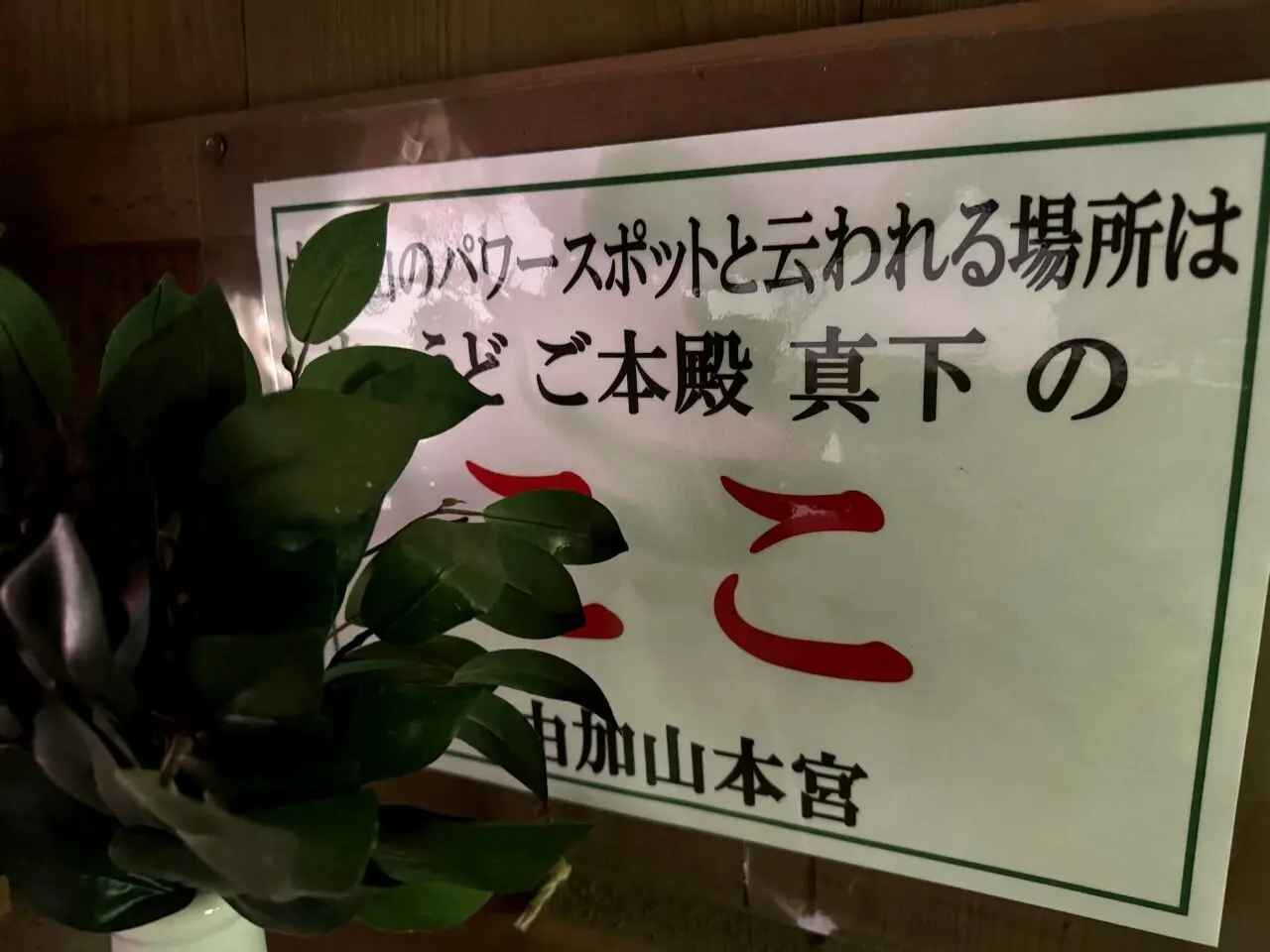 由加神社本宮で見た本殿真下への案内