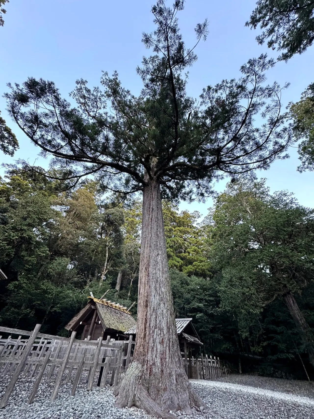 瀧原宮のその他4