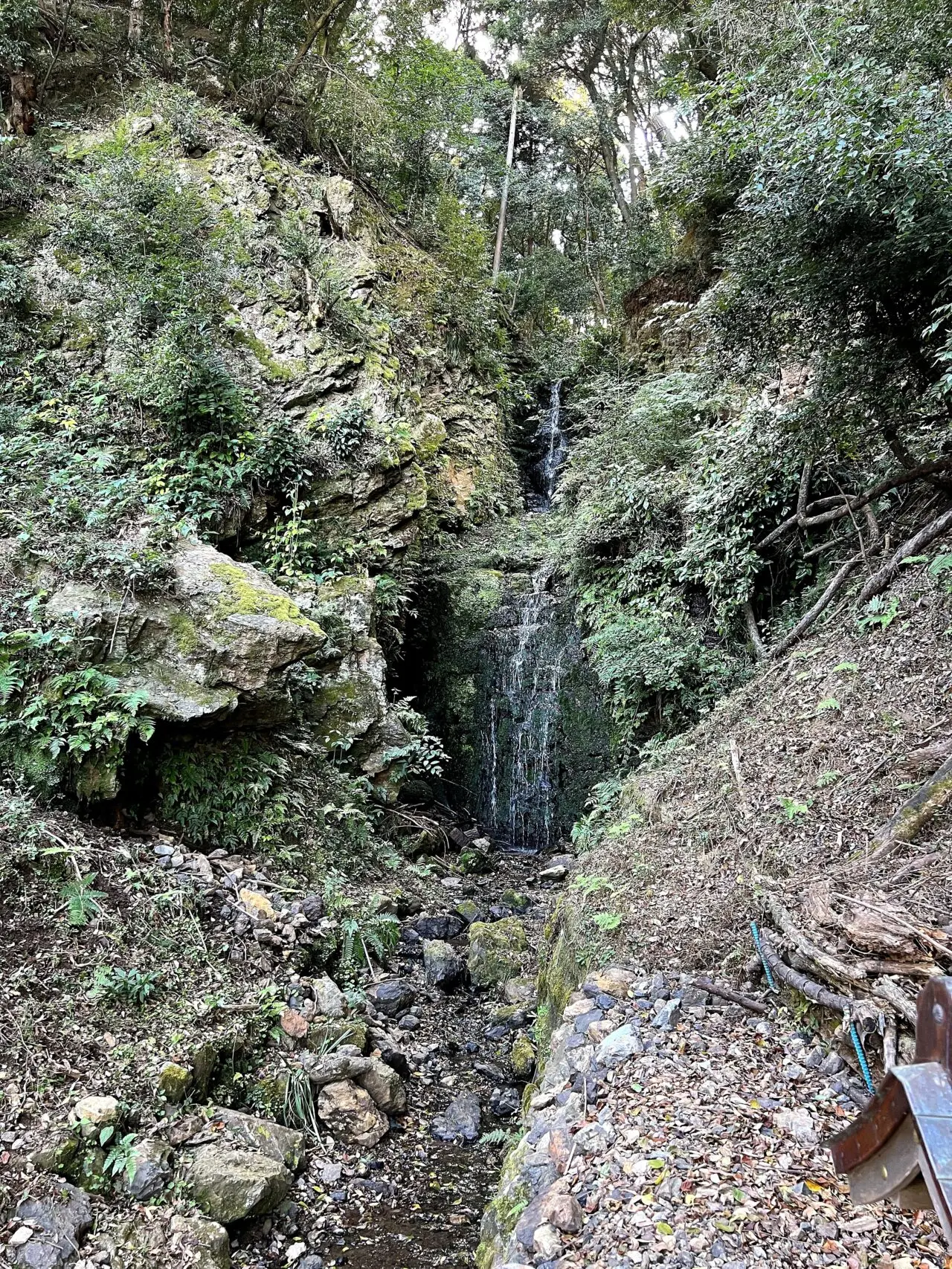 松尾大社の霊亀の滝