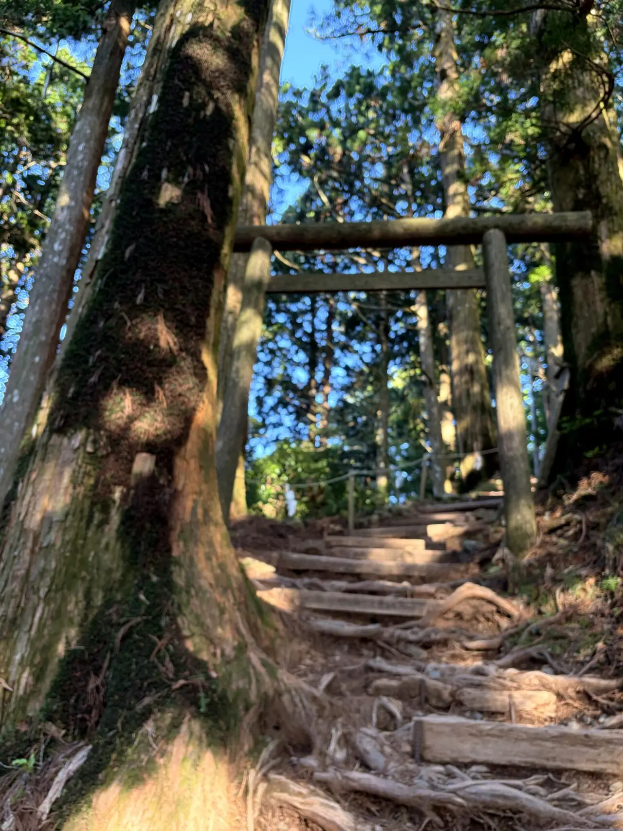 玉置神社から玉石社へ向かう山道