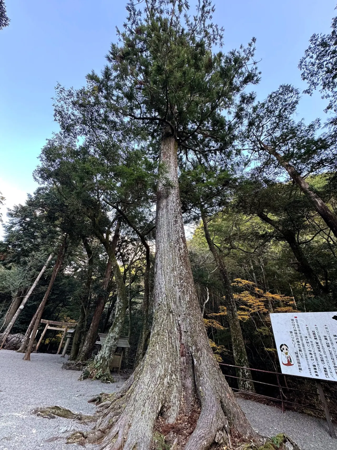 頭之宮四方神社のその他5