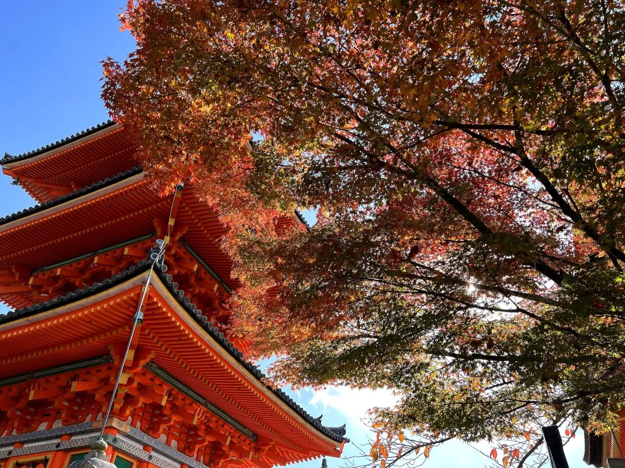 清水寺のその他5