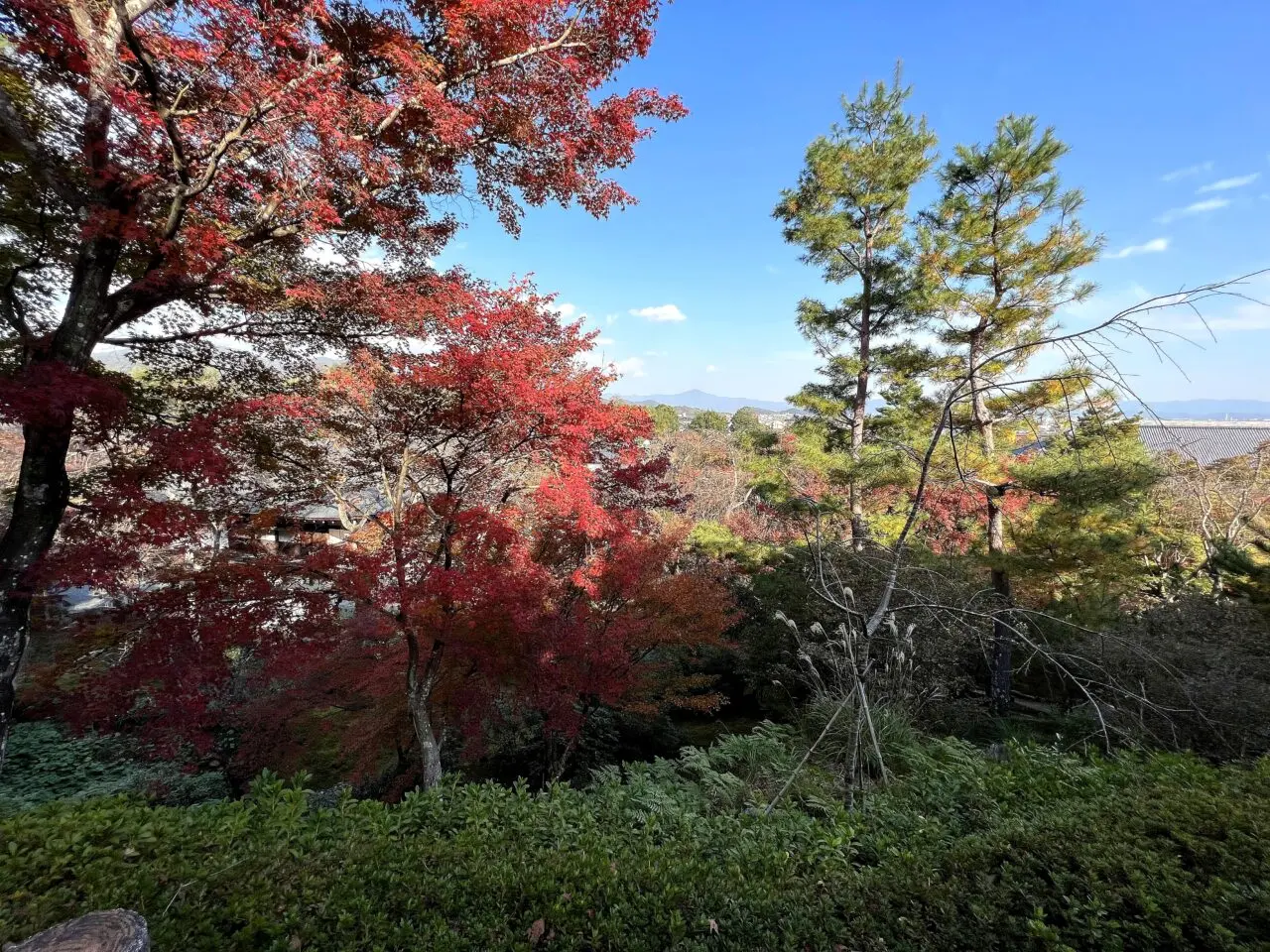 天龍寺のその他7