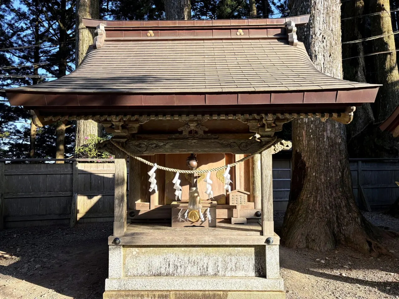 玉置神社境内の小祠と大杉