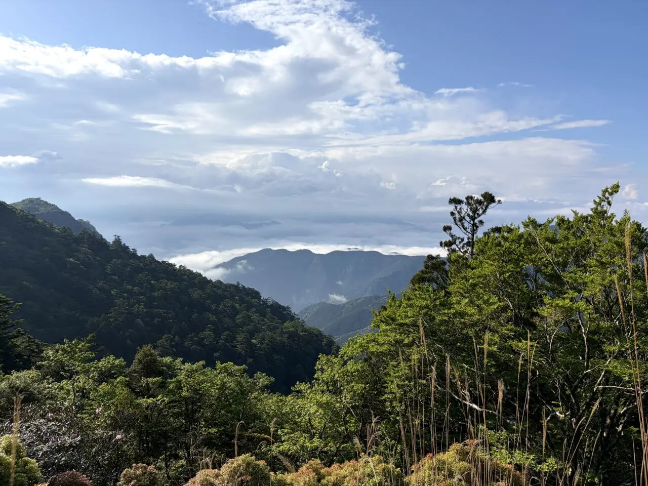 玉置山山頂付近から見える山並み