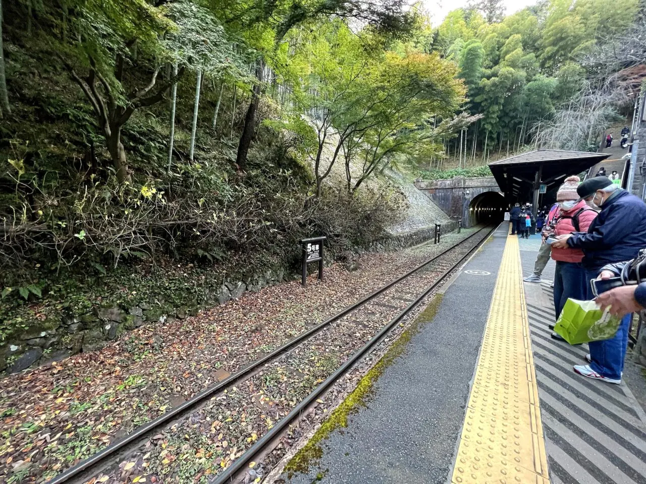 トロッコ嵐山駅のホームと線路