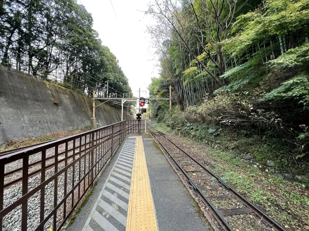 トロッコ嵐山駅の線路沿いの景色