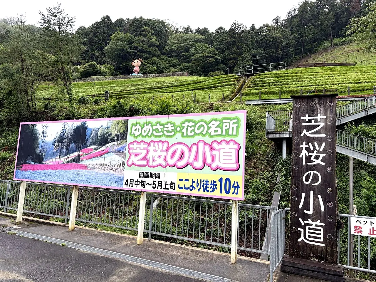 ヤマサ蒲鉾 芝桜の小道の案内看板