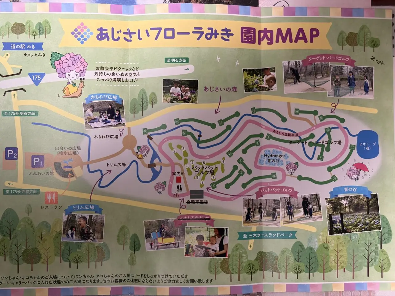 あじさいフローラみきの園内MAP