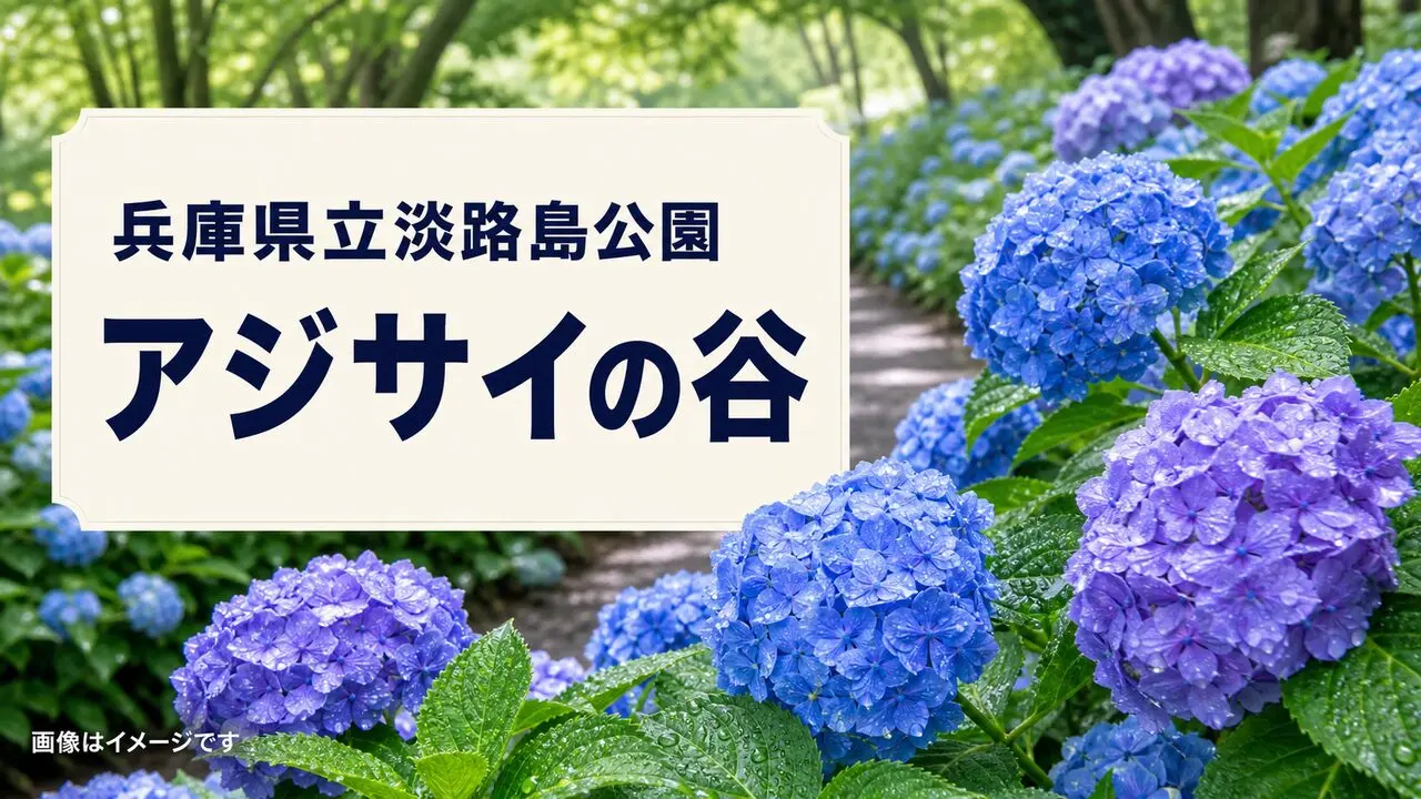 兵庫県立淡路島公園のアジサイの谷を表現したイメージ画像