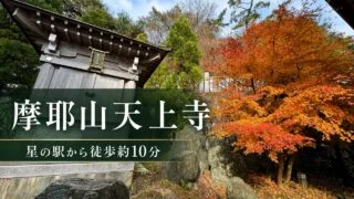 mayasan-tenjoji-guide アイキャッチ画像