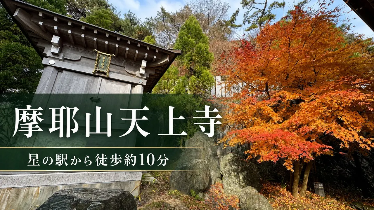 mayasan-tenjoji-guide アイキャッチ画像