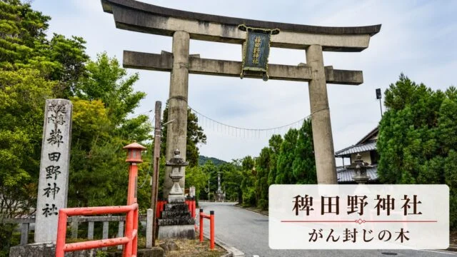 kameoka-hiedano-jinja-ganfuuji-tree アイキャッチ画像