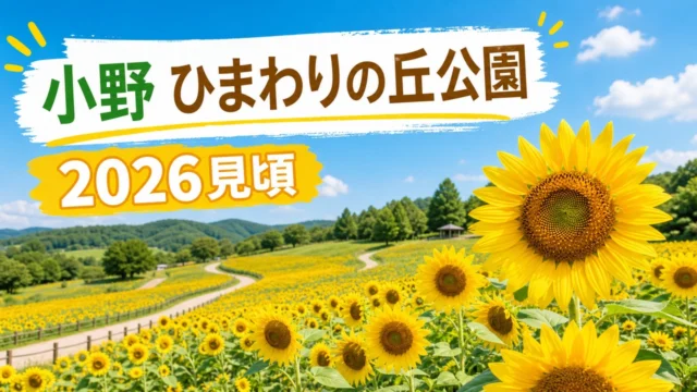 ono-himawari-park-2026 アイキャッチ画像