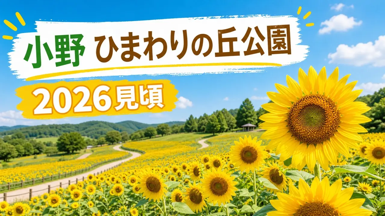 ono-himawari-park-2026 アイキャッチ画像