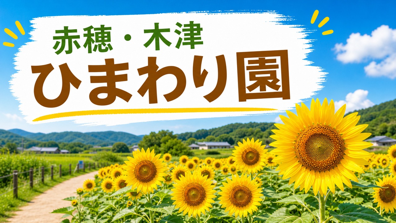 木津ふれあい農園ひまわり園2026｜赤穂市の開園日・場所・雨天時