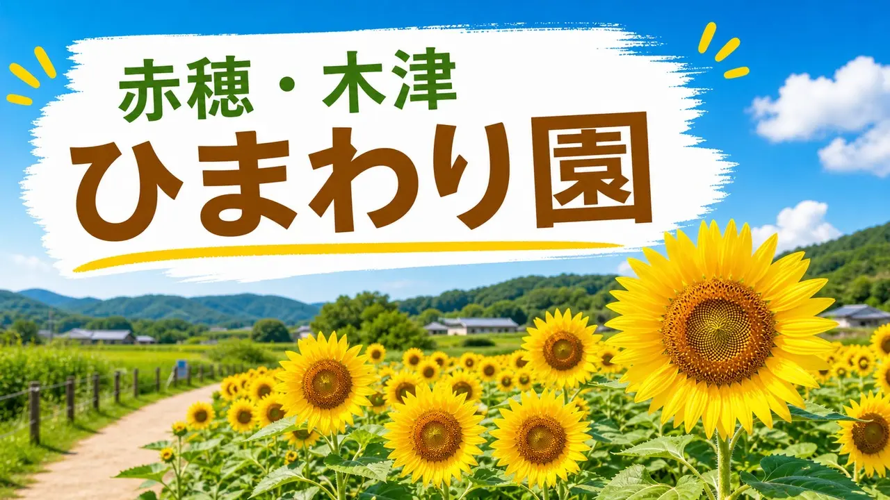 kizu-himawari アイキャッチ画像