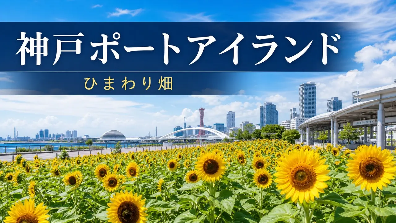 portisland-himawari アイキャッチ画像