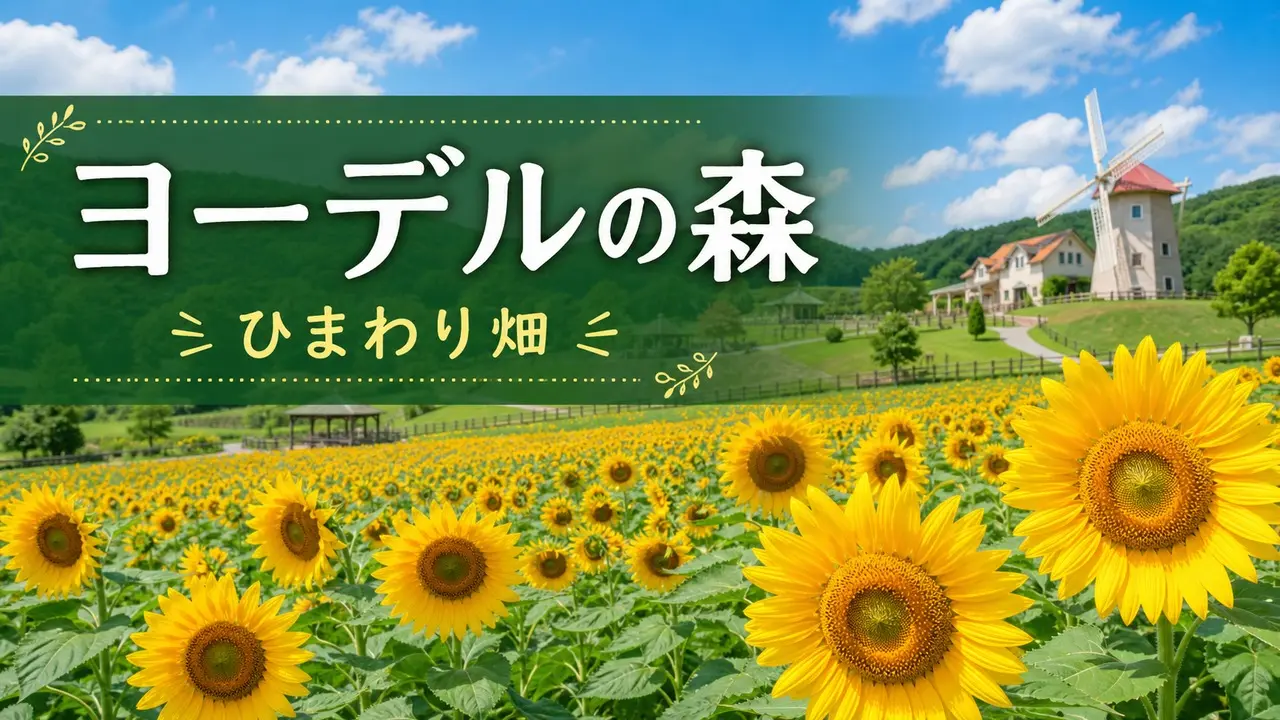 yodel-no-mori-himawari アイキャッチ画像