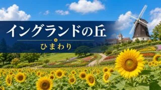 england-hill-himawari アイキャッチ画像
