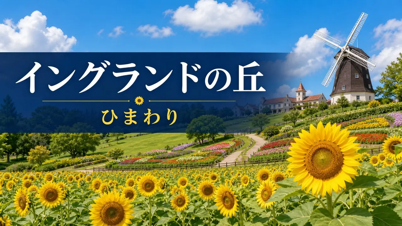 england-hill-himawari アイキャッチ画像