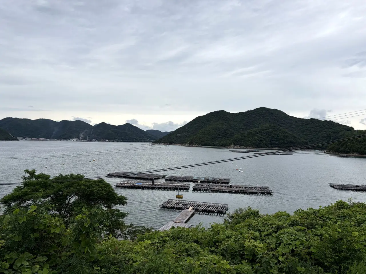 ひなせうみラボから見える海と養殖いかだの景色