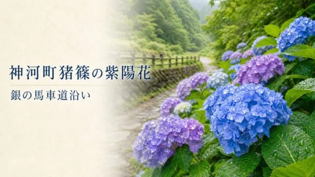 神河町猪篠の紫陽花と銀の馬車道沿いを表現したアイキャッチ