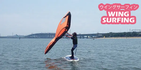 甲子園浜マリンスポーツ体験フェス公式掲載のウイング体験画像。