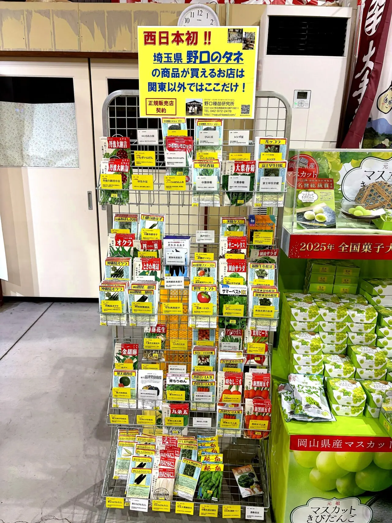日本一のだがし売場の店内1