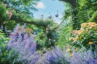 神戸布引ハーブ園のあじさい公式掲載写真。園内で咲くあじさいの様子。