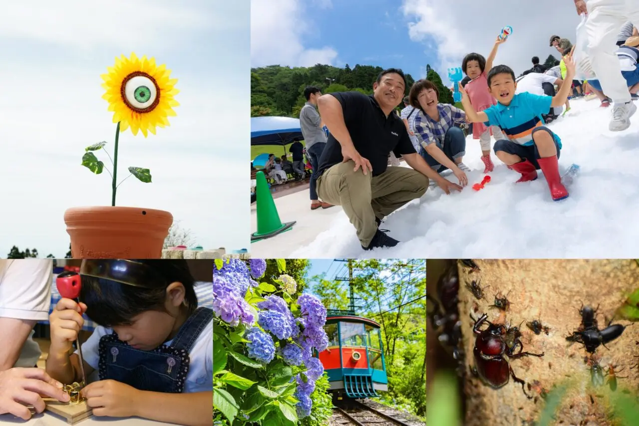 六甲高山植物園の花びより公式掲載画像。季節の花とイベントの雰囲気を示す。