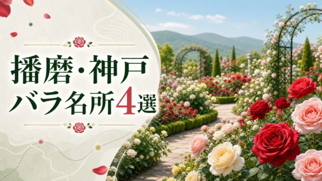 播磨・神戸のバラ名所4選を示すイメージビジュアル