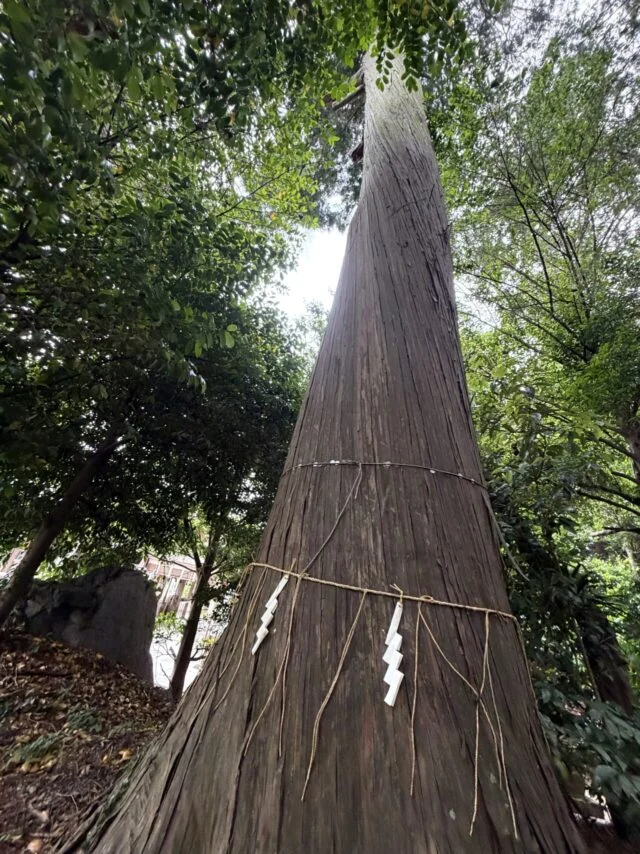 稗田野神社の外観11