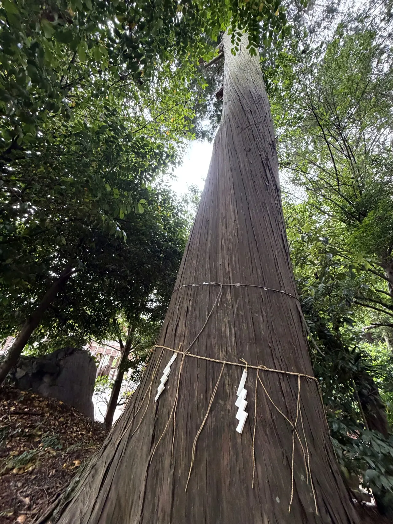 稗田野神社の外観11